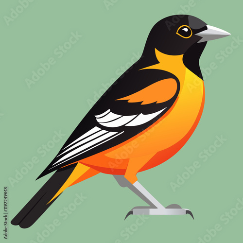illustration of a baltimore oriole
