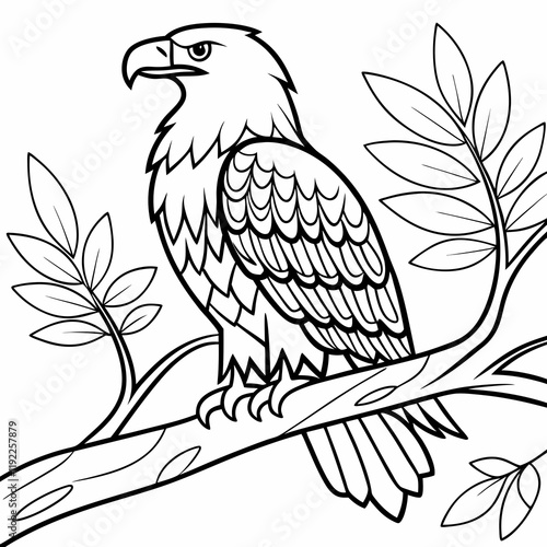 bird coloring page ,kids coloring page , coloring page for kids, animal coloring page, KDP, Animal Coloring Page For Kids