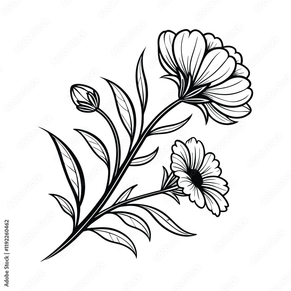 black and white drawing of a flower illustration black and white drawing of a flower illustration