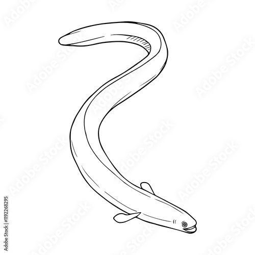 eel line vector illustration