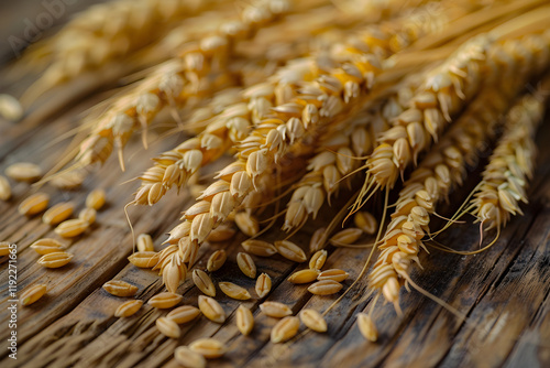 Rustic Display of Golden Khorasan Wheat: A Glimpse into Agricultural Richness and Nutritional Bounty photo