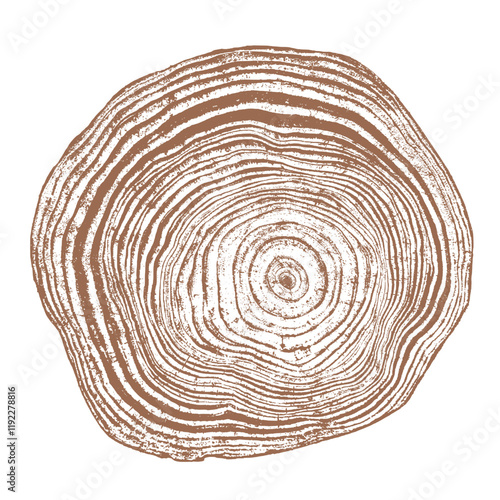 Tree wood texture. Wooden old trunk. Cut timber log. Abstract rings nature pattern. Brown circle stump. Wood cross section.