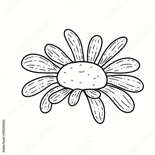 Hand-Drawn Daisy Flower Clipart Set - Line Art and Colored Designs