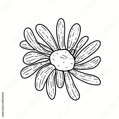 Hand-Drawn Daisy Flower Clipart Set - Line Art and Colored Designs