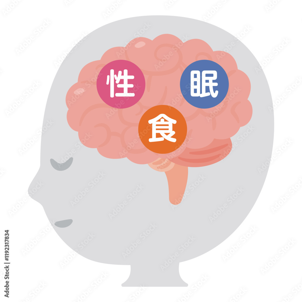 3大欲求と脳とシンプルな人物の横顔イラスト 3大欲求と脳とシンプルな人物の横顔イラスト