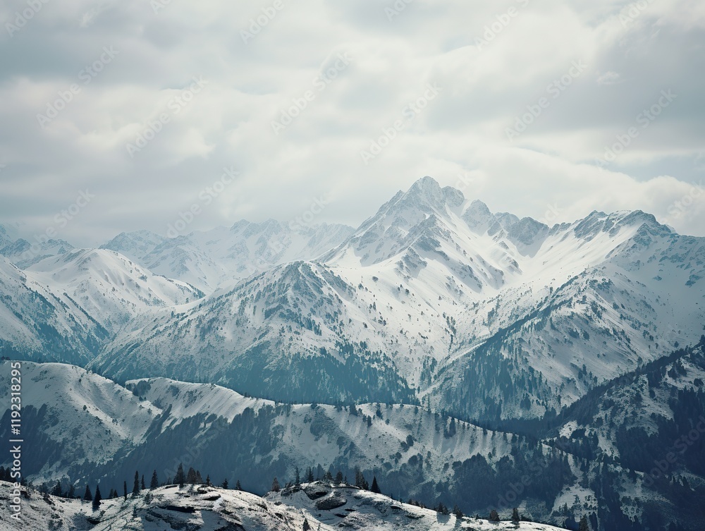 Obraz premium Pine trees on snow covered mountain Magical winter forest. Natural landscape with beautiful sky