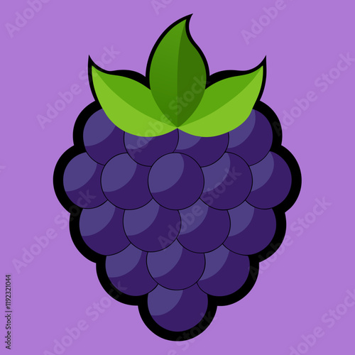 bunch of blackberry vector