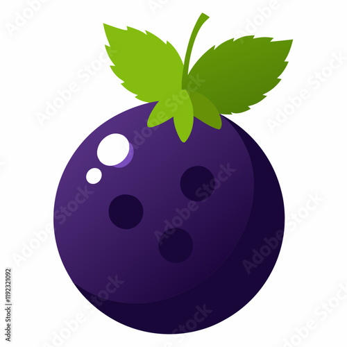 illustration of blackcurrant