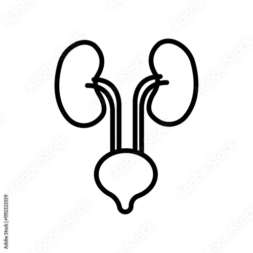 Urinary system icon Thin line art isolated