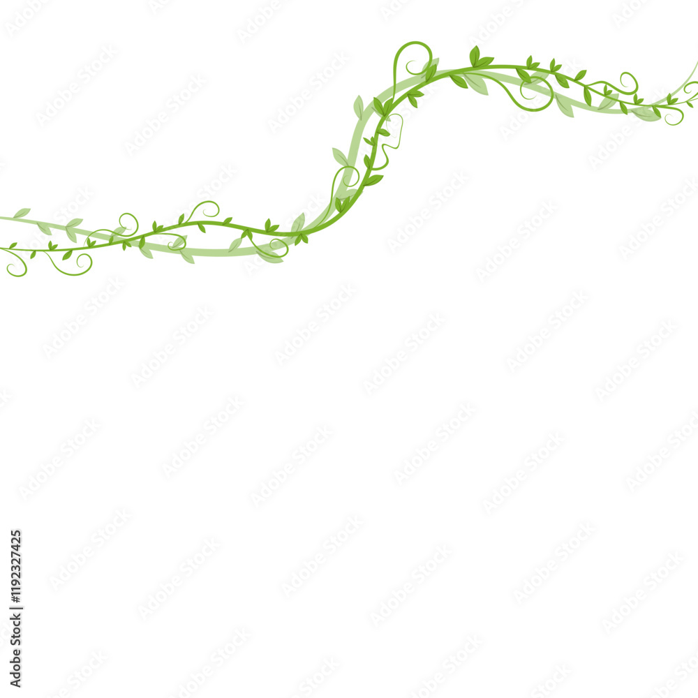 Vine Leaf Vine Leaf