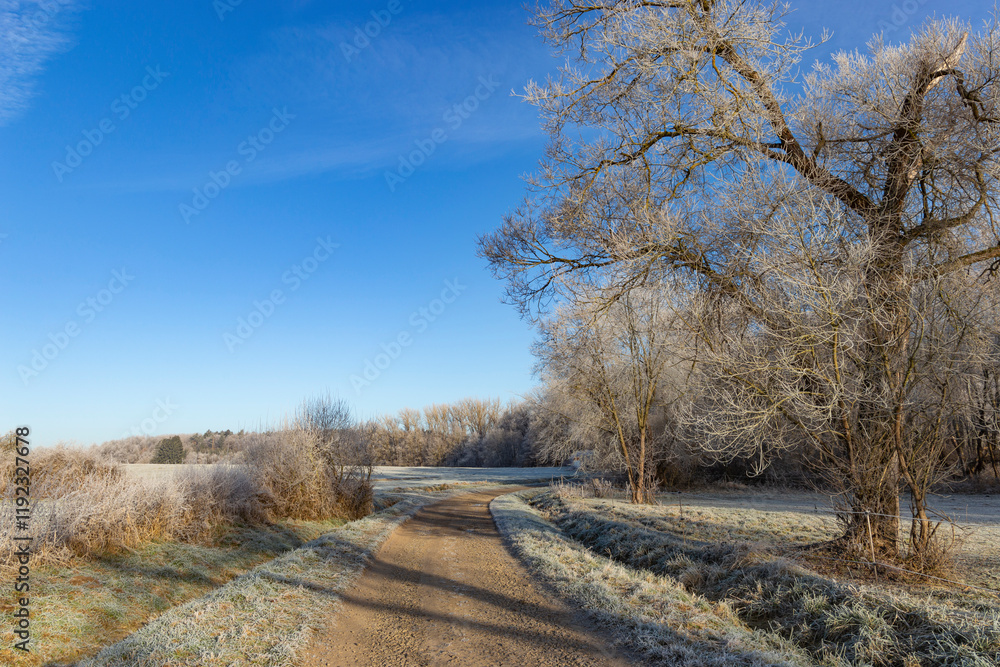 A dirt road in the countryside. A cold winter morning in Central Europe.