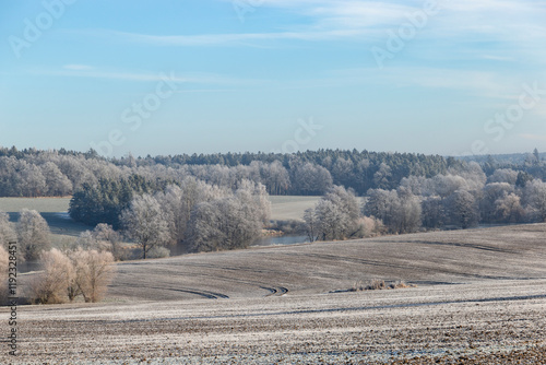 Obraz na płótnie A frosty winter morning in the countryside, featuring a plowed field with visible tire tracks in the foreground, a frozen pond surrounded by bare trees in the middle. w salonie