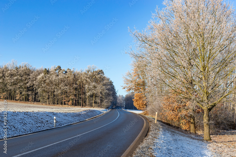 A paved road in the countryside. A cold, winter morning.