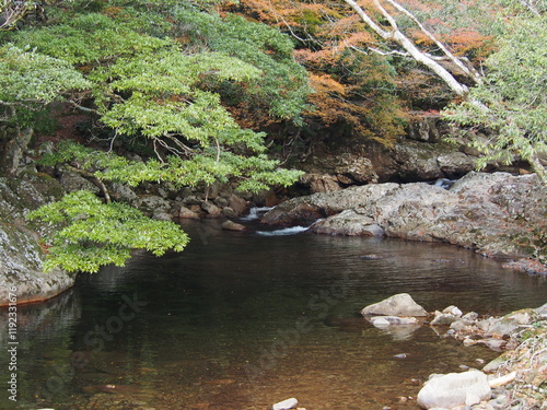 紅葉の時期の渓谷の風景