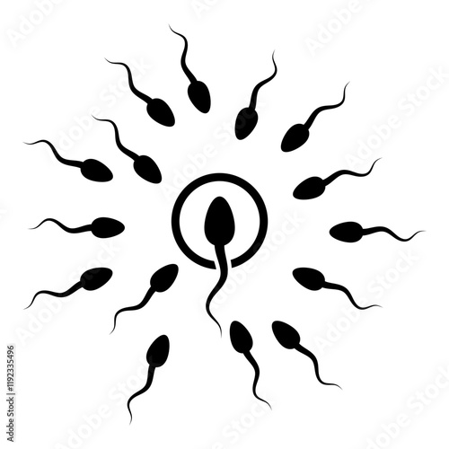 Male sperm fertilize female egg icon