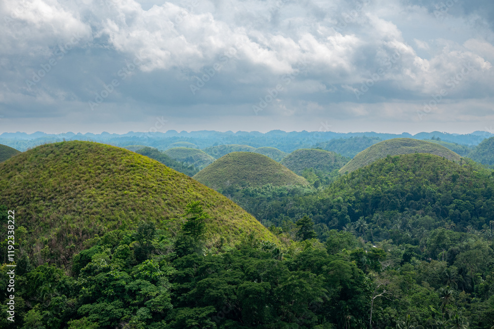 Fototapeta premium Chocolate Hills Bohol,Central Visayas, Philippines, Southeast Asia
