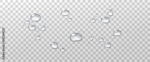 Realistic vector water drops png on a transparent light background. Water condensation on the surface with light reflection and realistic shadow. 3d vector illustration