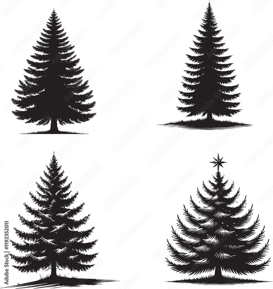 Fototapeta premium Four Set of High-Quality Monochrome Vector Silhouettes of the Blue Spruce Tree