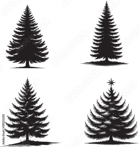 Four Set of High-Quality Monochrome Vector Silhouettes of the Blue Spruce Tree"