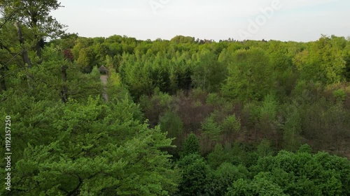 Drone footage of a narrow trail leading to a house in an evergreen dense forest on a sunny day photo