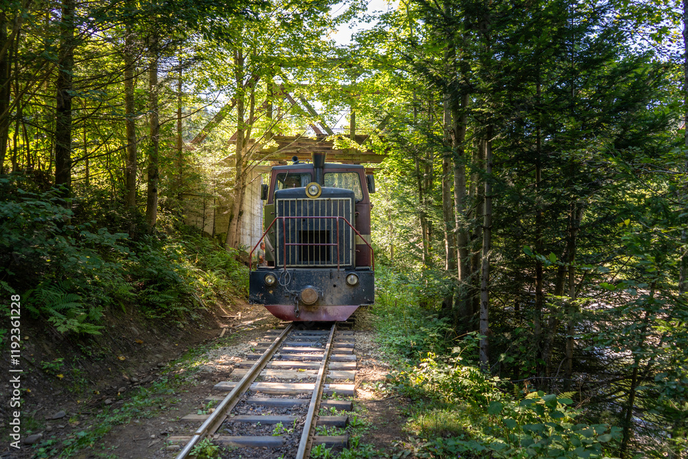 Fototapeta premium Carpathian tram. Steam locomotive on a narrow-gauge railway. Old transport in the forest nature