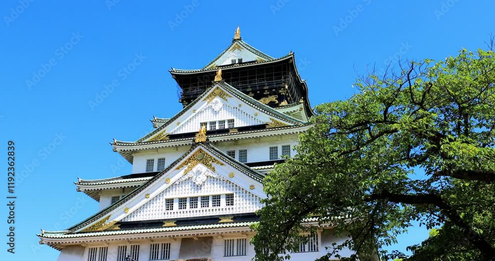 Tenshukaku in Osaka Castle Park.Osaka Castle Park is located in Chuo-ku, Osaka City, Japan. In the center of Osaka Castle Park stands the Tenshou Pavilion. Tenshukaku in Osaka Castle Park.Osaka Castle Park is located in Chuo-ku, Osaka City, Japan. In the center of Osaka Castle Park stands the Tenshou Pavilion.