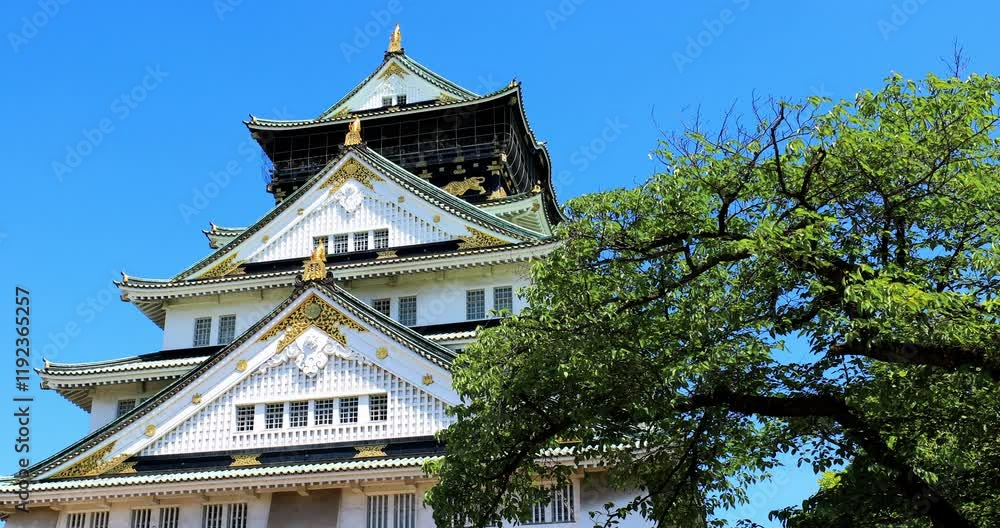 Tenshukaku in Osaka Castle Park.Osaka Castle Park is located in Chuo-ku, Osaka City, Japan. In the center of Osaka Castle Park stands the Tenshou Pavilion. Tenshukaku in Osaka Castle Park.Osaka Castle Park is located in Chuo-ku, Osaka City, Japan. In the center of Osaka Castle Park stands the Tenshou Pavilion.