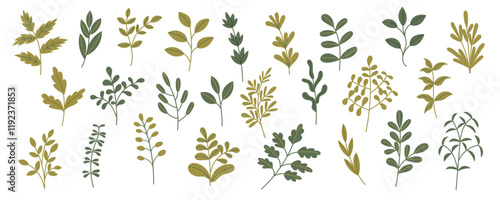 Set of green plants and leaves isolated on white background. Hand drawn botanical collection of plants. Nature, spring, summer, Ester concept.