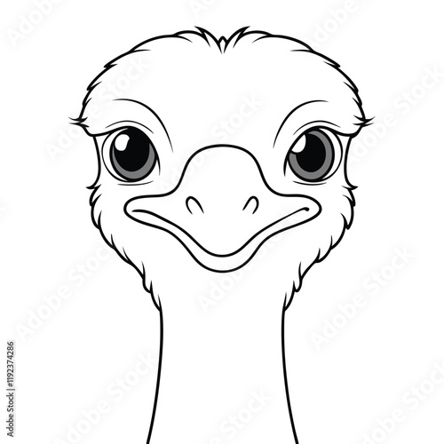 animal vector illustration of a ostrich 