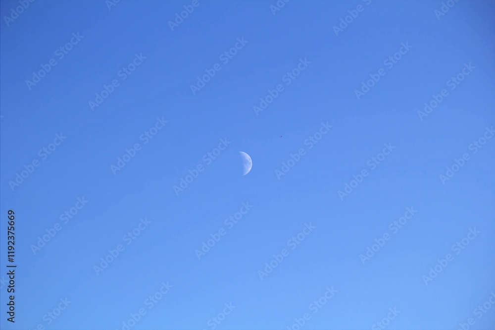 moon in the sky moon in the sky