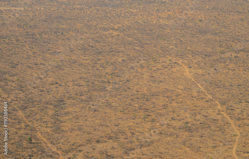 Obraz na płótnie Luftbild Landschaftsbild - Flora Botanik Busch im Krüger National Park - Kruger Nationalpark Südafrika w salonie
