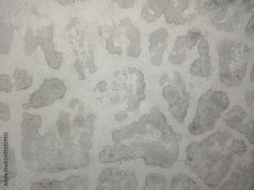 walls seep rainwater