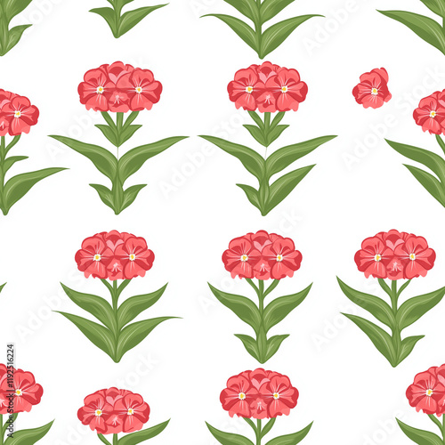 Sweet William continuous icon pattern, Sweet William repeating background photo