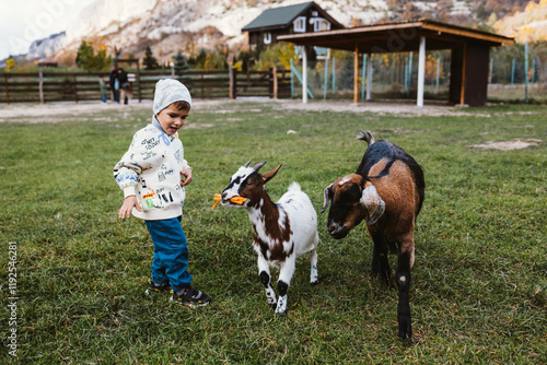 Little boy playing with goats on green meadow in autumn day.
