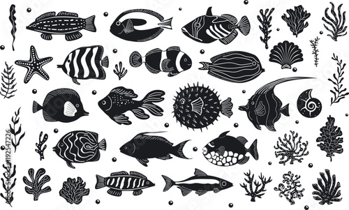 underwater sea ocean life tropical fish and corals collection in black and white colors, aquatic natical coastal marine  design set