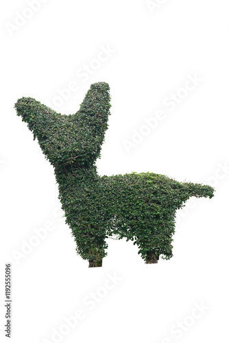 Fukien Tea or Carmona retusa (Vahl) Masam cut into the shape of cute animals isolated on white background included clipping path. photo