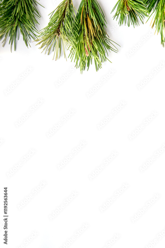 Fresh pine branches arranged artistically on a clean surface, creating a natural and seasonal decoration in winter Fresh pine branches arranged artistically on a clean surface, creating a natural and seasonal decoration in winter