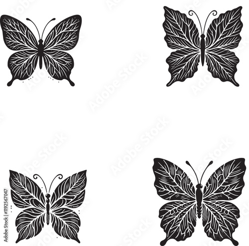 High-Quality Monochrome Vector Silhouettes of the Veined Oakleaf Butterfly Isolated on a White Background photo