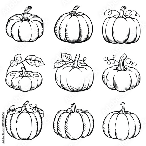 collection of pumpkins