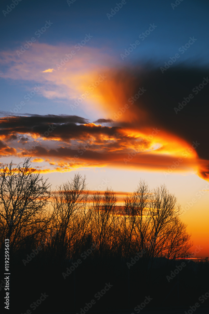 Obraz premium Winter sunset landscape, back lit bare trees and strange cloud at the sky