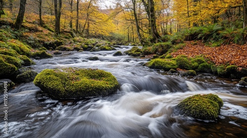 Autumn forest stream with mossy rocks flowing through vibrant woodland landscape reflecting seasonal colors and tranquility
