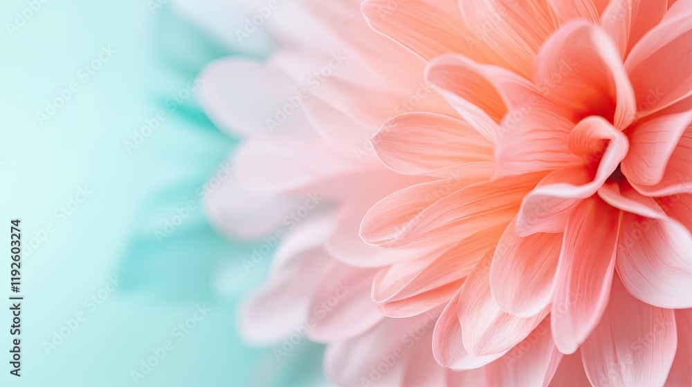 Fototapeta premium Blurred abstract background idea. Delicate pink flower petals against a soft turquoise background.