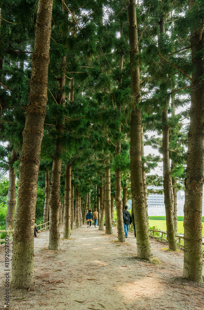 Daytime view of the garden of Chiang Kai-shek Memorial Hall