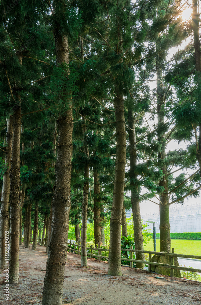 Daytime view of the garden of Chiang Kai-shek Memorial Hall