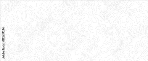Vector black wave curve Topography grid map. white wave line geography landscape Topo contour map on white background. 