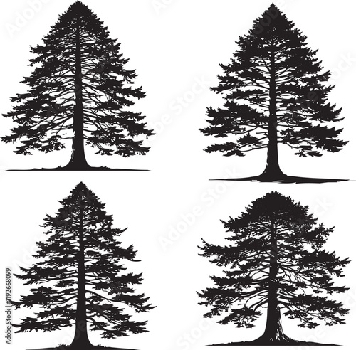"Detailed Monochrome Vector Silhouettes of the Eastern Hemlock Tree Isolated on a White Background"