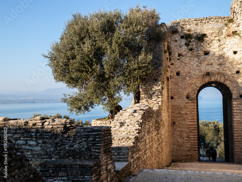 Caves of Catullus and Archaeological Museum of Sirmione photo