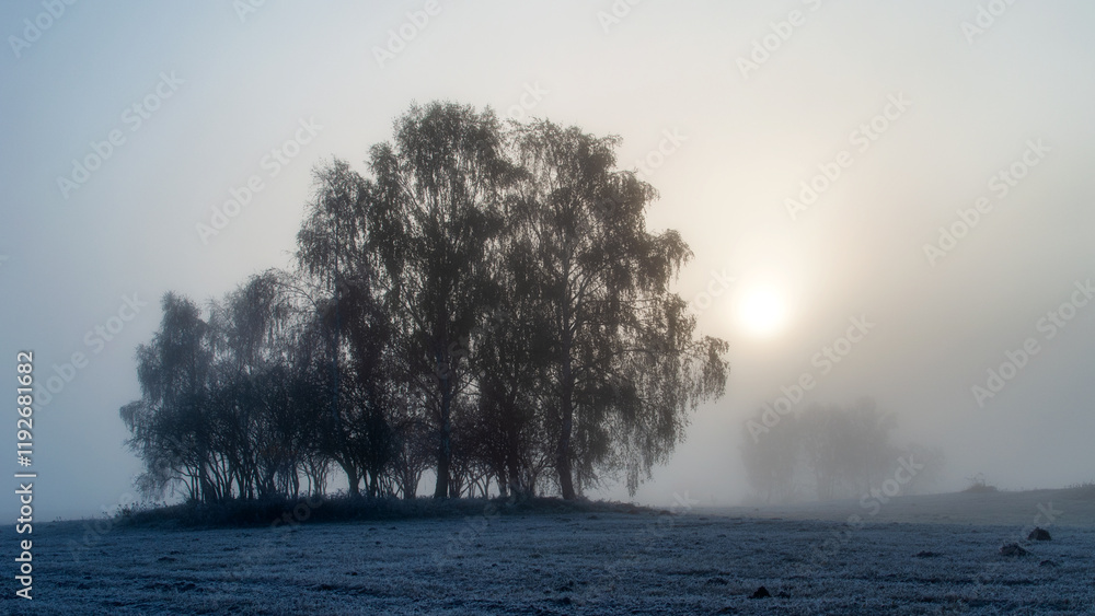 Piękno zimowego krajobrazu w dolinie rzeki Narew, Podlasie, Polska