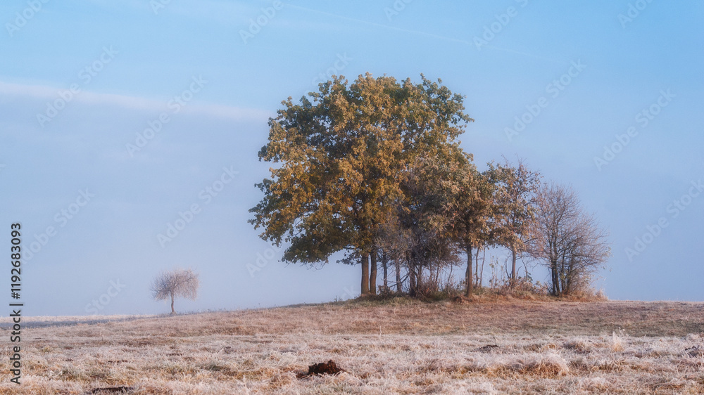 Piękno zimowego krajobrazu w dolinie rzeki Narew, Podlasie, Polska