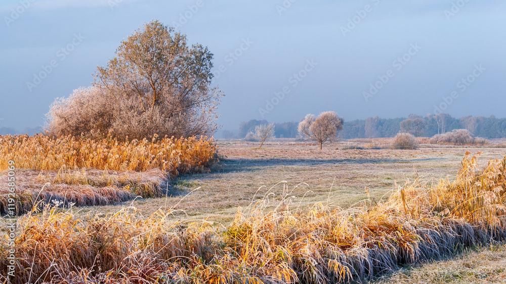 Piękno zimowego krajobrazu w dolinie rzeki Narew, Podlasie, Polska